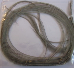 ���� Dry Fly (��� ����� ���) 10 ��  ����� , ������ � 12